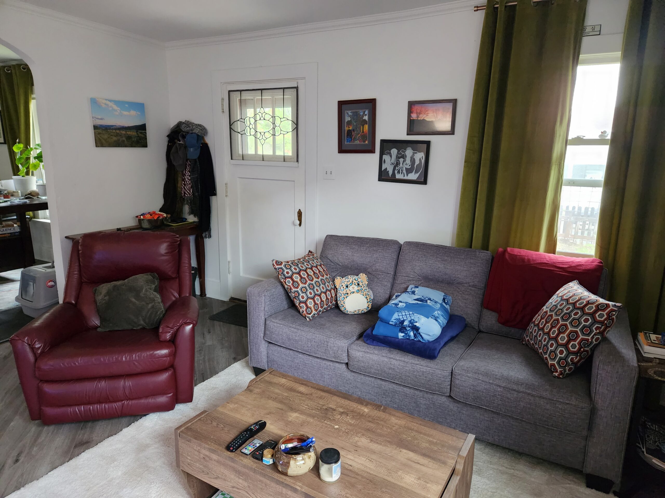 living room front door new